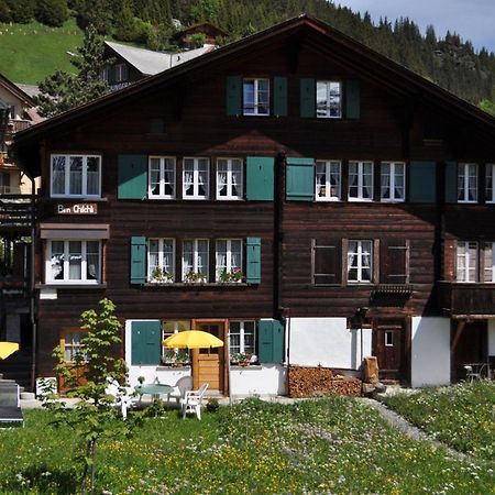 Studio Bim Chalet Bim Chilchli Mürren Zewnętrze zdjęcie