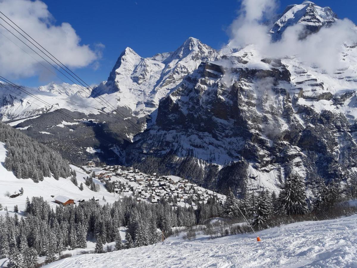 Studio Bim Chalet Bim Chilchli Mürren Zewnętrze zdjęcie